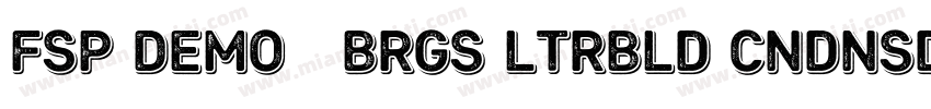 FSP DEMO   Brgs ltrBld Cndnsd Itali字体转换